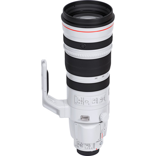 Canon EF 200-400mm f/4 L IS w/- 1.4x Extender + PL-C 52WII Drop-in